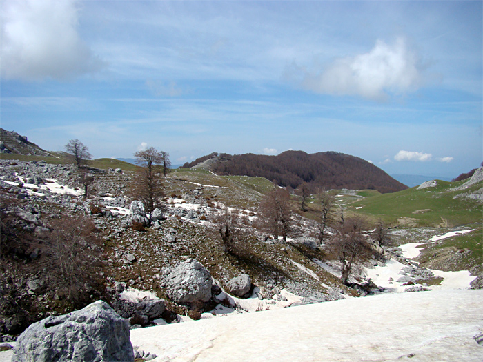 Escursione Parco Nazionale d''Abruzzo